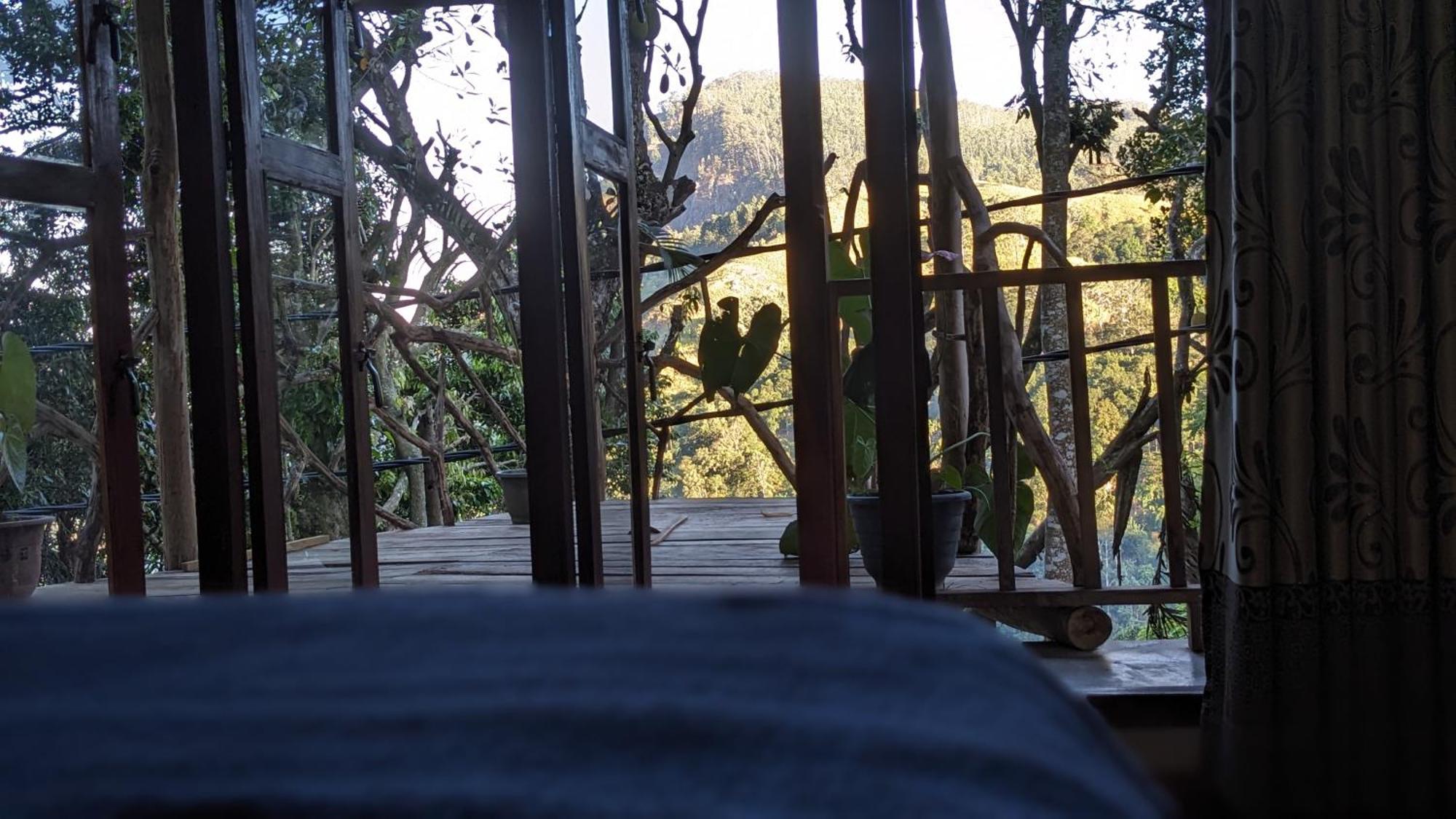 Ella nature nest Camera foto