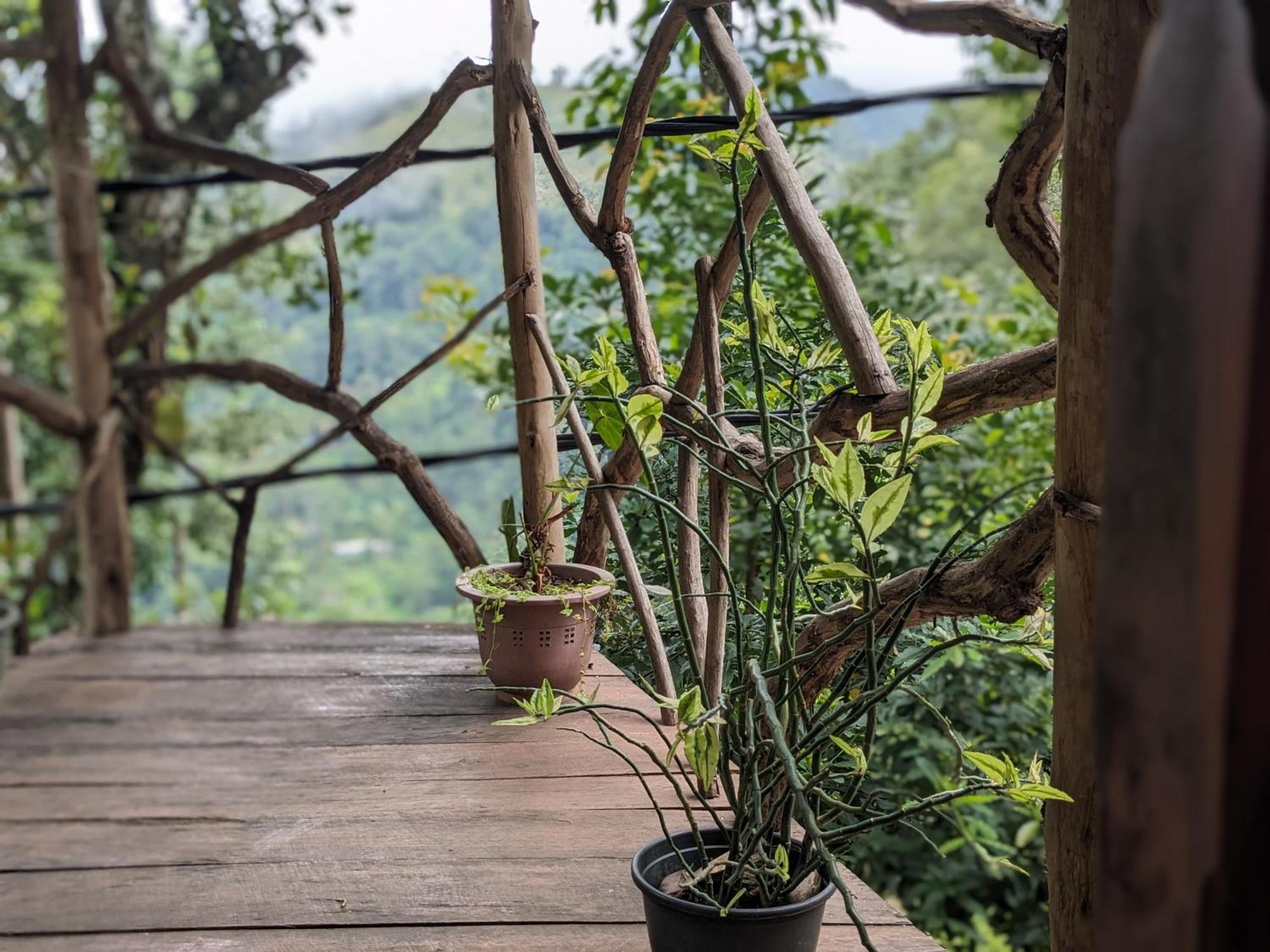 Ella nature nest Esterno foto
